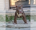 Image preview for Ad Listing. Nickname: Shelly