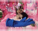 Image preview for Ad Listing. Nickname: Lavender
