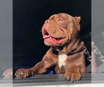 Small #1 Breeder Profile image