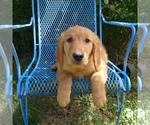 Image preview for Ad Listing. Nickname: Titan