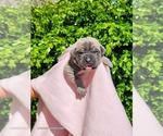 Image preview for Ad Listing. Nickname: Clara