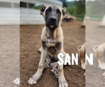 Image preview for Ad Listing. Nickname: San
