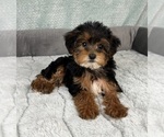 Image preview for Ad Listing. Nickname: Paisley