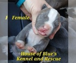 Image preview for Ad Listing. Nickname: Yellow Female