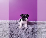 Image preview for Ad Listing. Nickname: Diamond