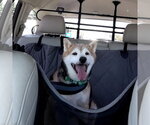 Small #2 Shiba Inu