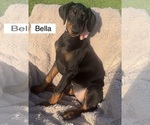 Image preview for Ad Listing. Nickname: Bella