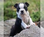 Image preview for Ad Listing. Nickname: Jasmine