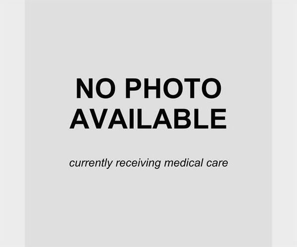 Medium Photo #1 Golden Retriever-Unknown Mix Puppy For Sale in San Antonio, TX, USA