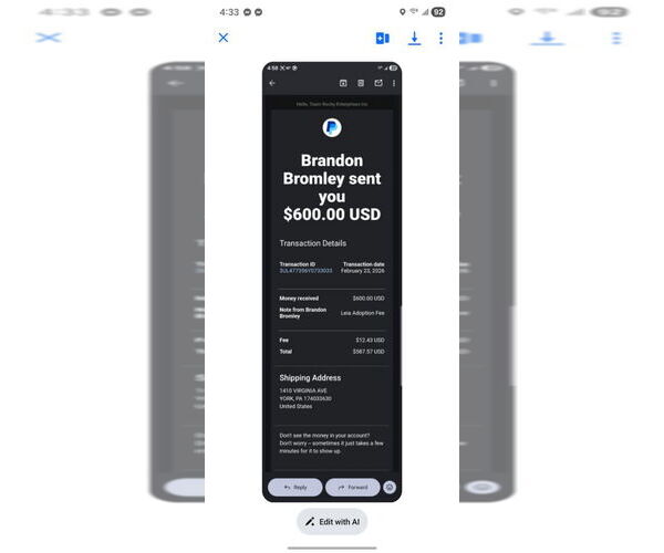 Medium Photo #2 Great Dane Puppy For Sale in Bullard, TX, USA