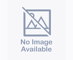 Small American Staffordshire Terrier-Labrador Retriever Mix