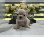 Image preview for Ad Listing. Nickname: Star