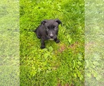 Small #3 Breeder Profile image