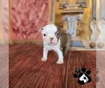 Image preview for Ad Listing. Nickname: CANDIS