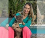 Small Photo #1 French Bulldog Puppy For Sale in SAINT JOHNS, FL, USA