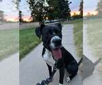 Small #2 Breeder Profile image