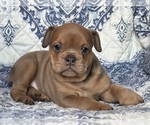 Image preview for Ad Listing. Nickname: Layla