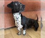 Small #1 Bo-Dach