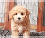 Image preview for Ad Listing. Nickname: Wendy