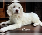 Image preview for Ad Listing. Nickname: Elaine