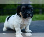 Small #1 Poovanese