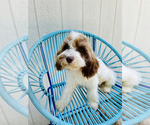 Image preview for Ad Listing. Nickname: William
