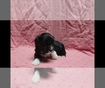 Image preview for Ad Listing. Nickname: Dusk