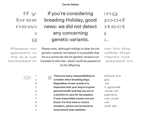 Medium Photo #7 Saint Bernard Puppy For Sale in SLAYTON, MN, USA