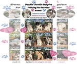 Image preview for Ad Listing. Nickname: Litter of 8