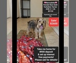 Image preview for Ad Listing. Nickname: Bernadette