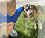 Small #2 Mutt