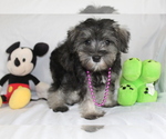 Image preview for Ad Listing. Nickname: Tessa Rose Girl