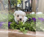 Image preview for Ad Listing. Nickname: Casper