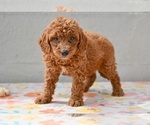 Image preview for Ad Listing. Nickname: Maverick