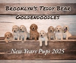 Image preview for Ad Listing. Nickname: Litter of 8