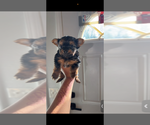 Image preview for Ad Listing. Nickname: Beverly
