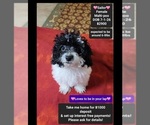 Image preview for Ad Listing. Nickname: Sailor