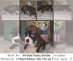 Image preview for Ad Listing. Nickname: Black Ribbon