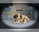 Image preview for Ad Listing. Nickname: Sailor