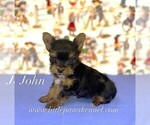 Image preview for Ad Listing. Nickname: Tiny John