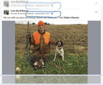 Small Photo #5 Brittany Puppy For Sale in Curwensville, PA, USA