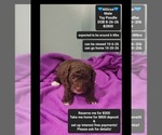 Image preview for Ad Listing. Nickname: Atticus