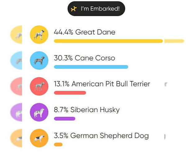 Medium Photo #7 Great Dane-Unknown Mix Puppy For Sale in Huntersville, NC, USA