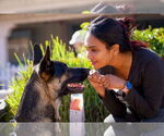 Small #6 German Shepherd Dog Mix