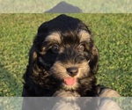 Image preview for Ad Listing. Nickname: Vada