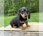 Image preview for Ad Listing. Nickname: Harrison