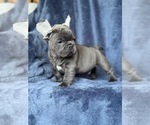 Image preview for Ad Listing. Nickname: Boy 1