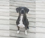 Small #1 Breeder Profile image