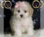 Image preview for Ad Listing. Nickname: Banana