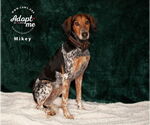 Small #14 Mutt